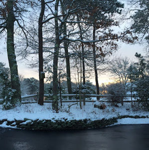 Meet your Posher, Madie